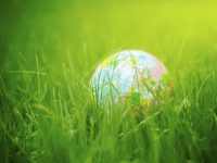 Broanmain Plastics environmental responsibility